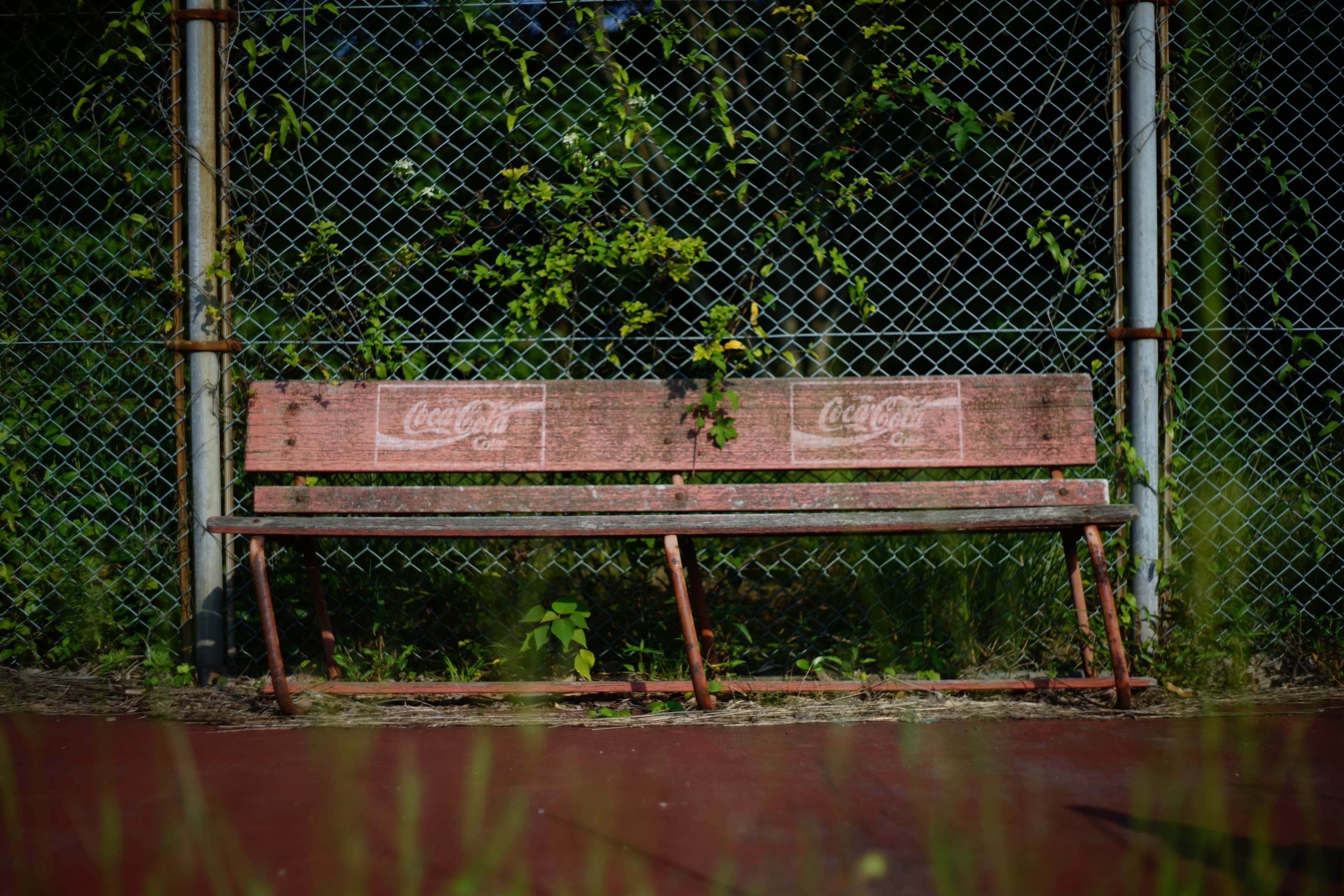 Contact Header